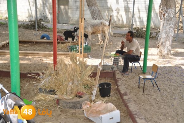 kidrawdaanimals510 (94).JPG